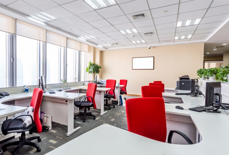 packing and moving services